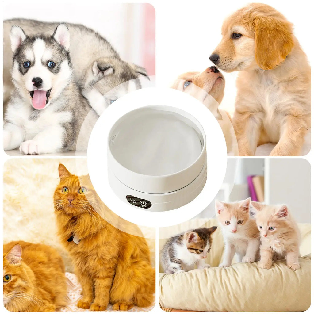 Heated Dog Dish Automatic No Freeze Pet Drinking Plate Thermal Heated Water Bowl For Chickens Ducks Animals Puppy Kitten